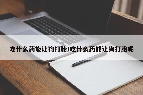 堕胎药吃什么药能让狗打胎/吃什么药能让狗打胎呢