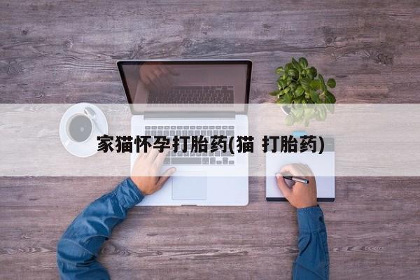 堕胎药家猫怀孕打胎药(猫 打胎药)